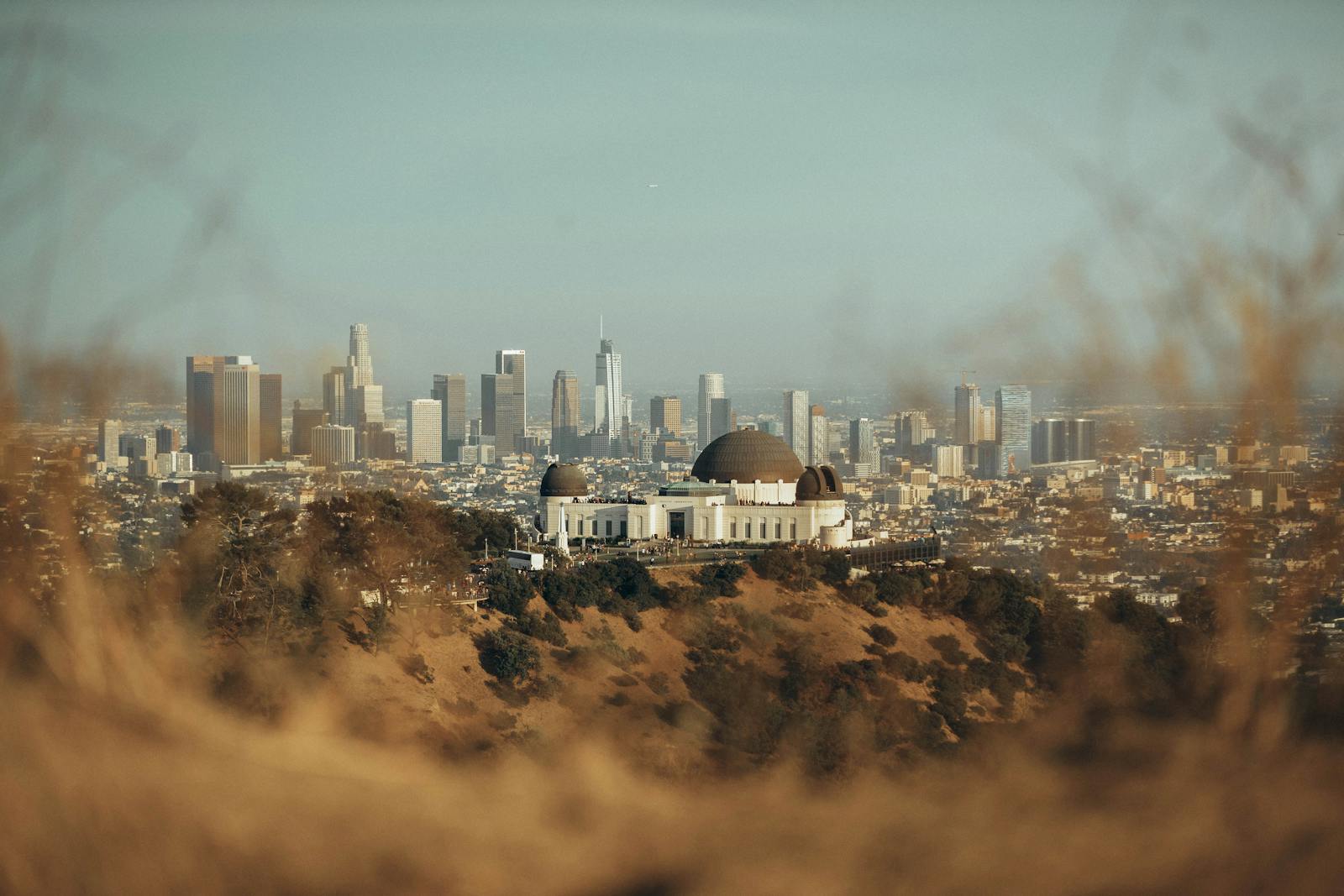 Los Angeles Marketing Company