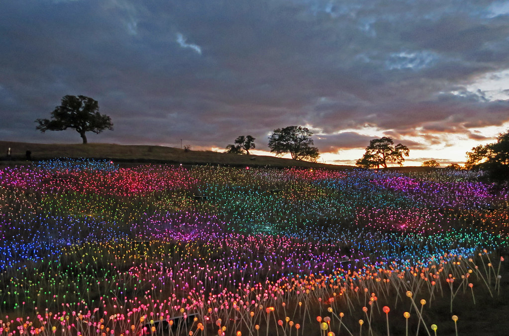 Paso Robles Marketing Company